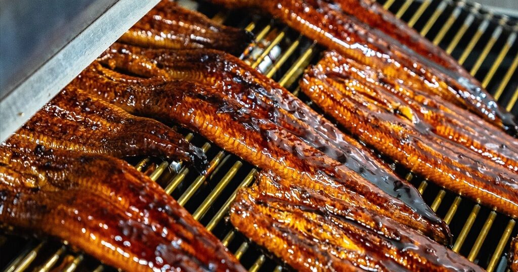 日本一のうなぎの町・鹿児島県大崎町のコミュニケーションデザイン